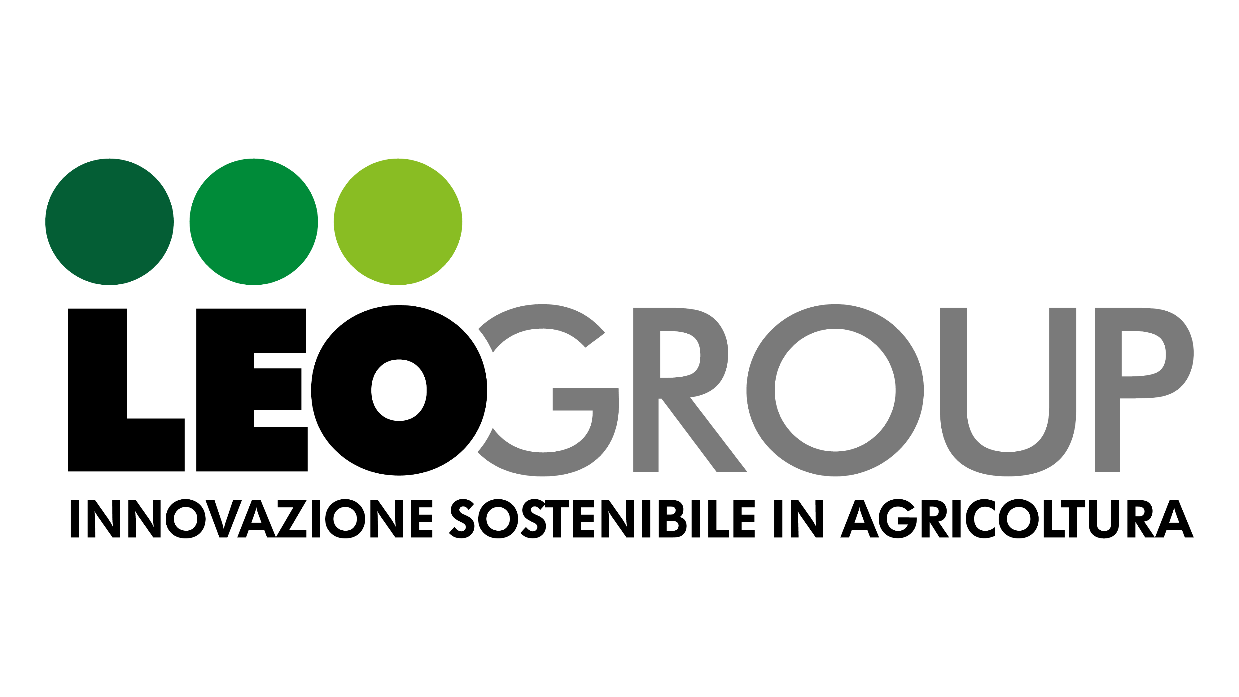Leo Group Srl