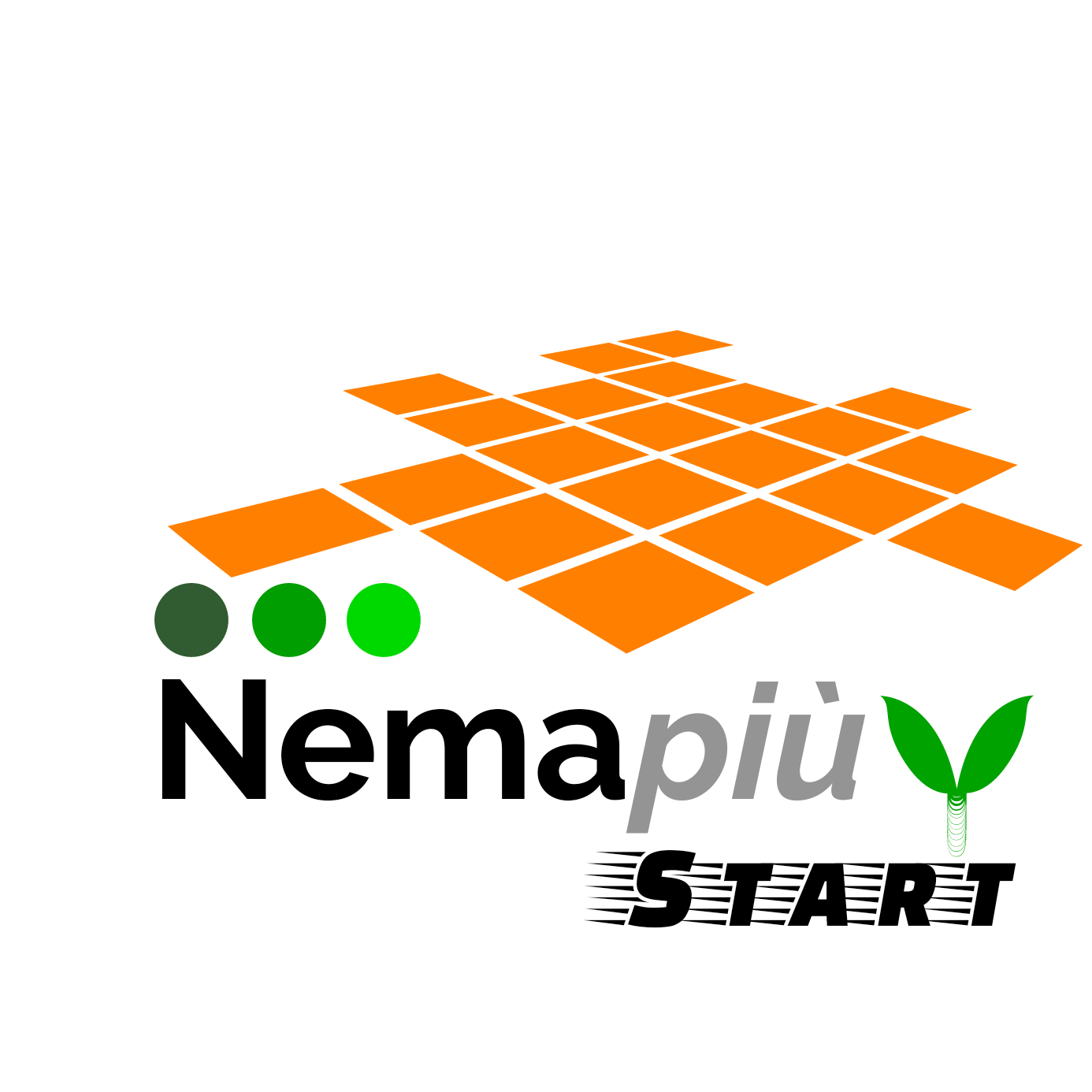 NEMAPIU&rsquo;-START.png
