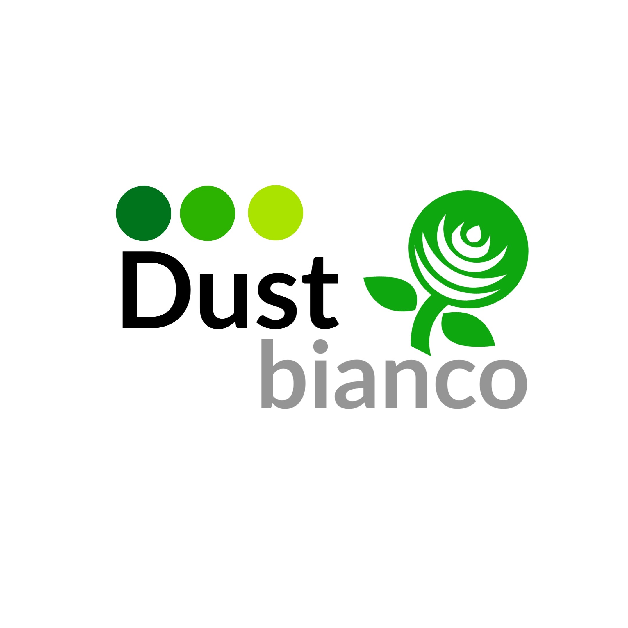 DUST-BIANCO-JPG.jpg