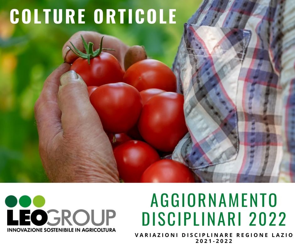 Minimalista Viaggio Collage di Foto Semplice Post di Facebook.jpg