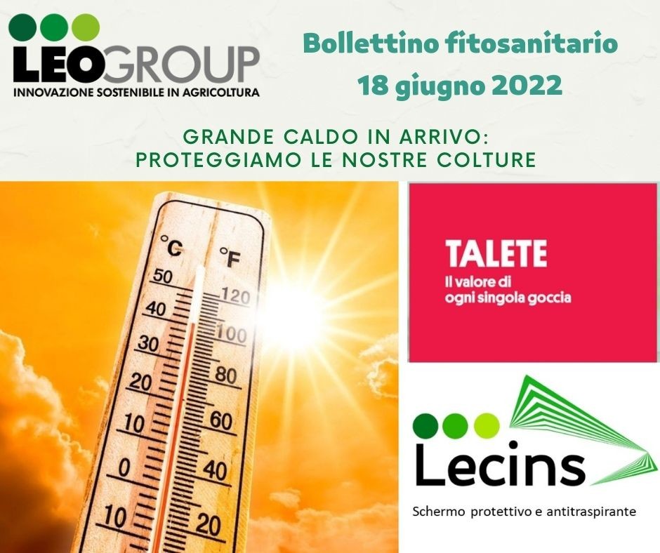 Verde Beni Immobili Contenuti Nuovi Servizi Professionali Post di Facebook.jpg