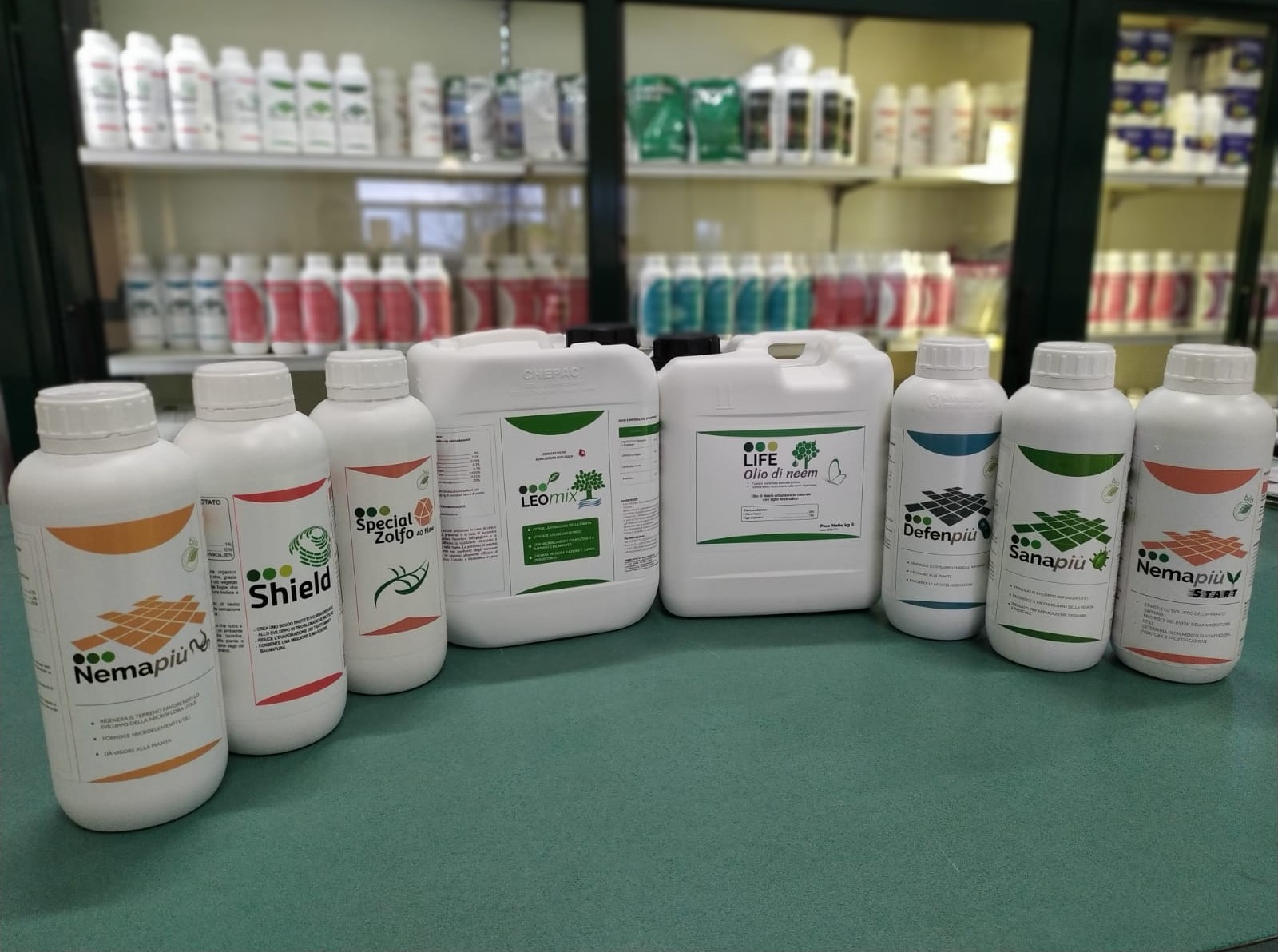 --WhatsApp Image 2020-02-12 at 17.30.45.jpeg