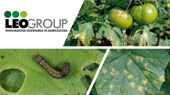 LEOGROUP-BOLLETTINO.jpg