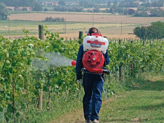trattamenti_del_vigneto_02.jpg