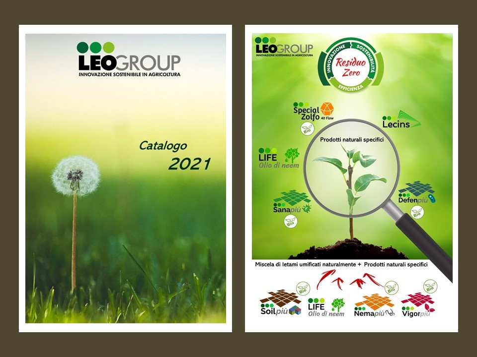 Presentazione standard1.jpg