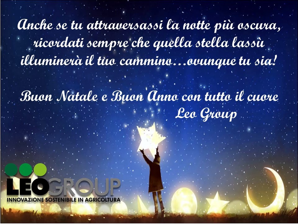 Auguri-Natale-Leogroup.jpg