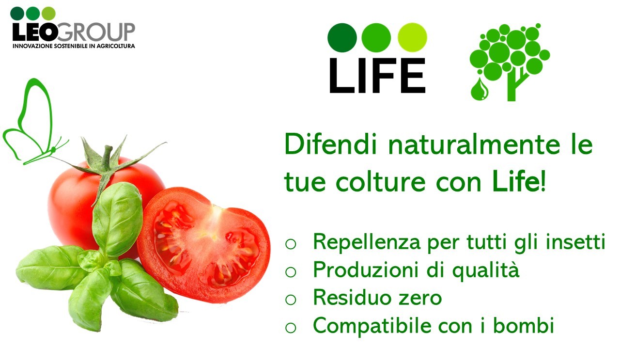 LIFE-OLIO-DI-NEEM.jpg