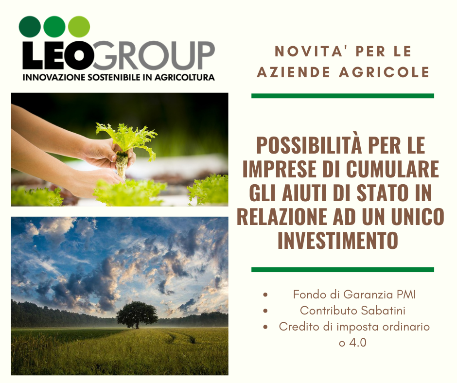 Moderno Viaggio Collage Semplice Post di Facebook.png