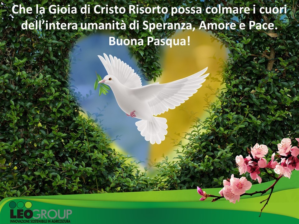 AUGURI_PASQUA.jpg